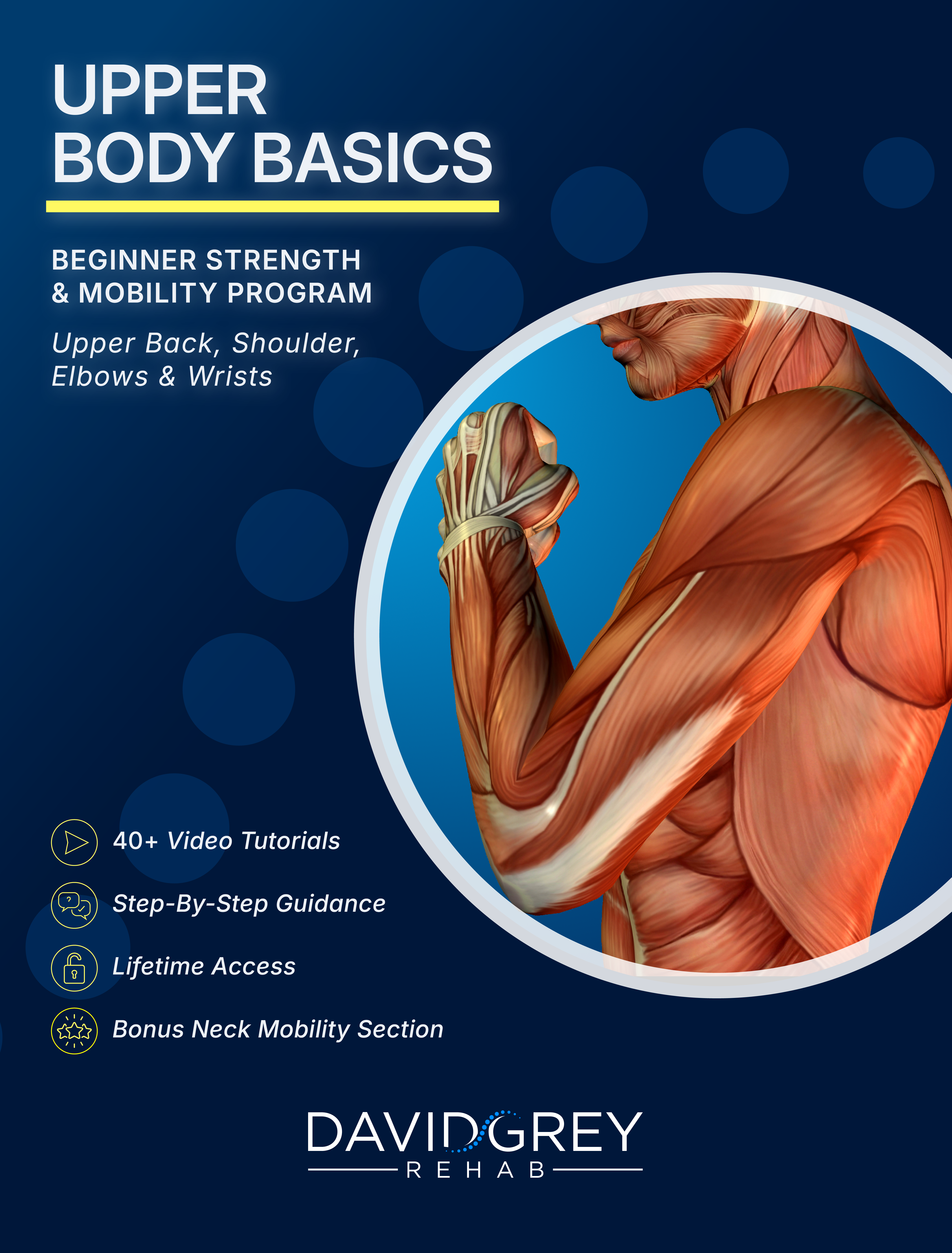 Upper Body Basics 