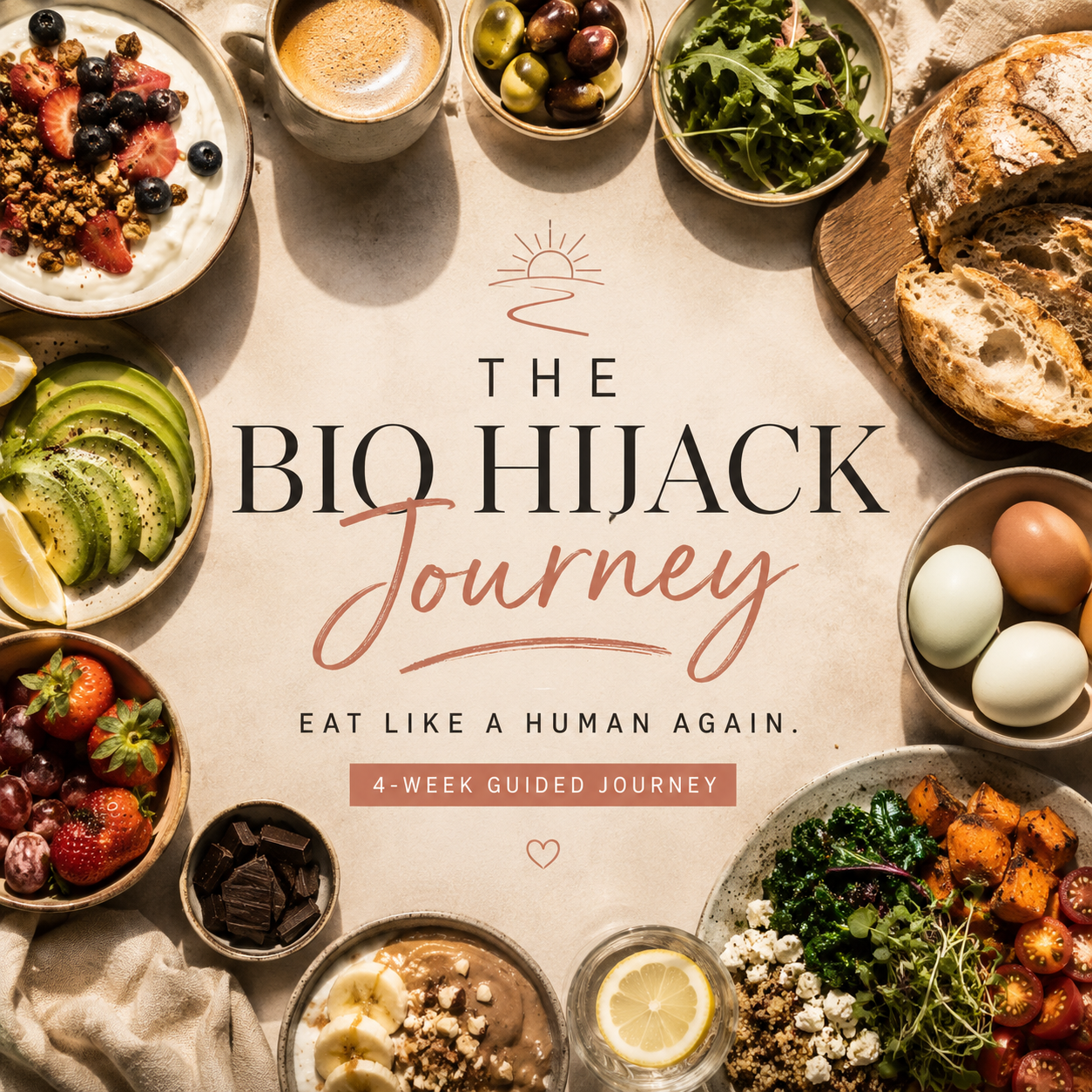 The Bio Hijack Journey