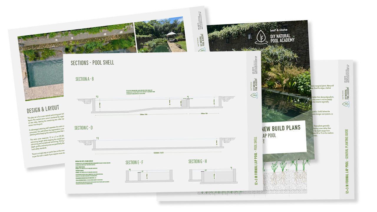 12 × 3m Formal Natural Pool with 2-Sided Wetland (Plan, resized to your dimensions)